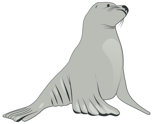 Sea lion vector image