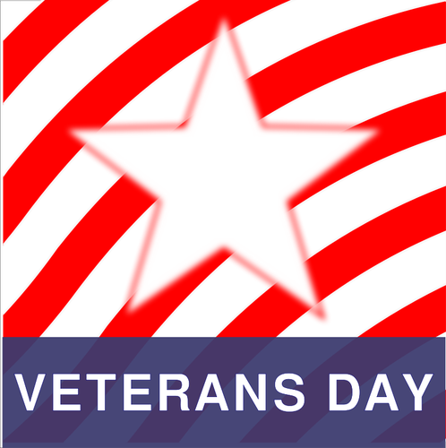 Veterans Day vector image