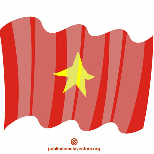 挥舞越南国旗