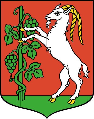 Vector drawing of coat of arms of Lublin City