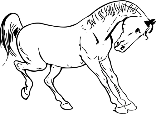 Prancing horse vector graphics