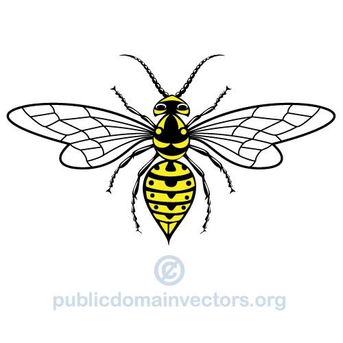 Imagem vetorial de vespa