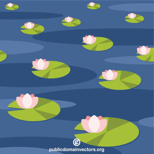 Water lilies