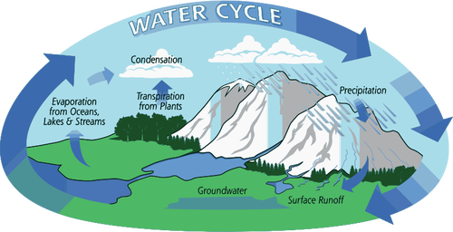 Water cycle vector illustration