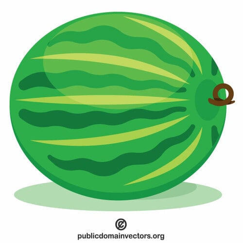Velký meloun