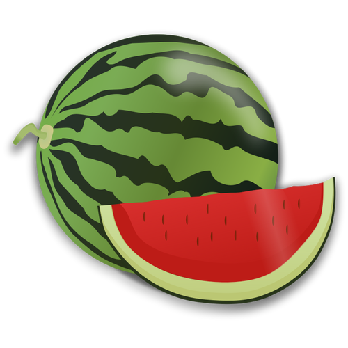 Wassermelone und Slice-Vektor-Bild