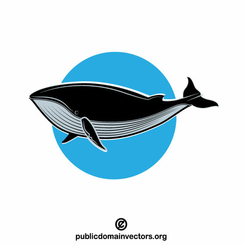 Baleine