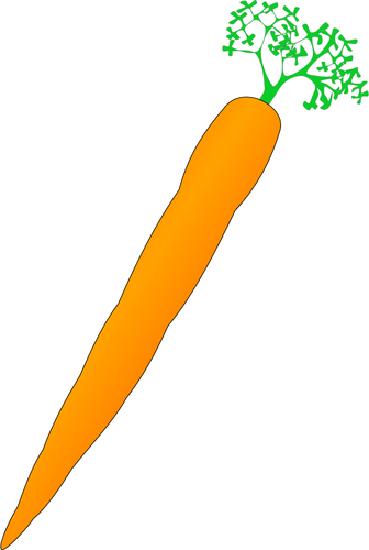 Vector image of orange carrot