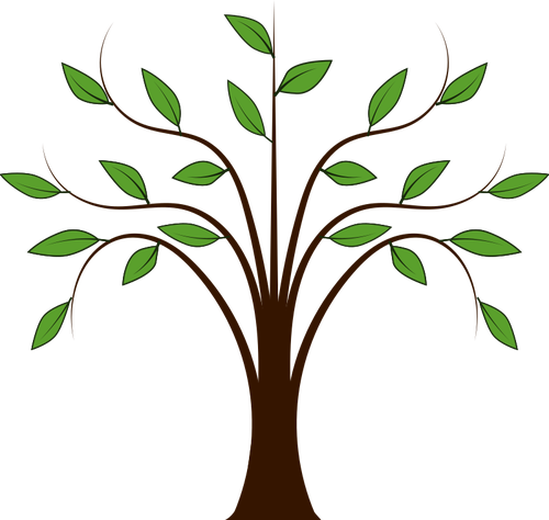Obraz drzewa liściaste