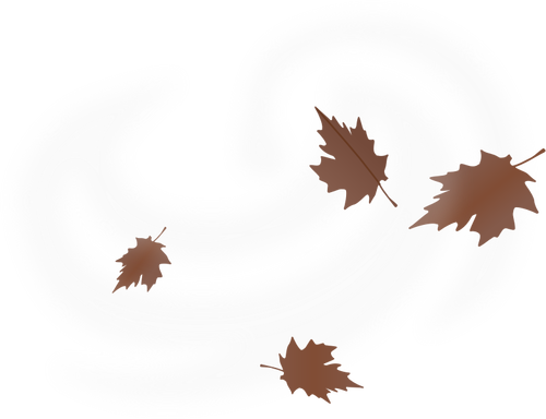 Brown fall leaves vector drawing on white background