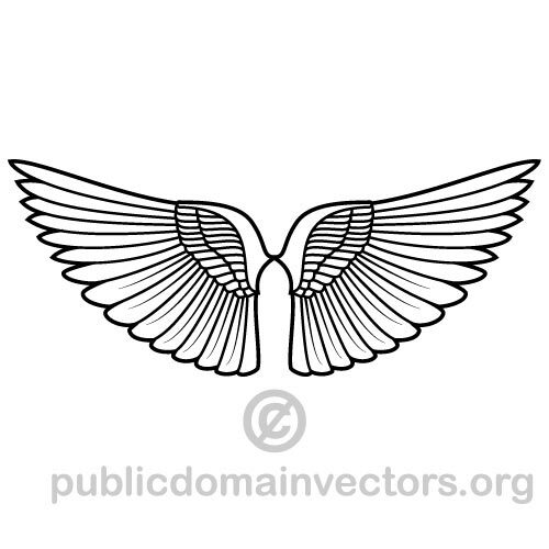Wings vector drawing