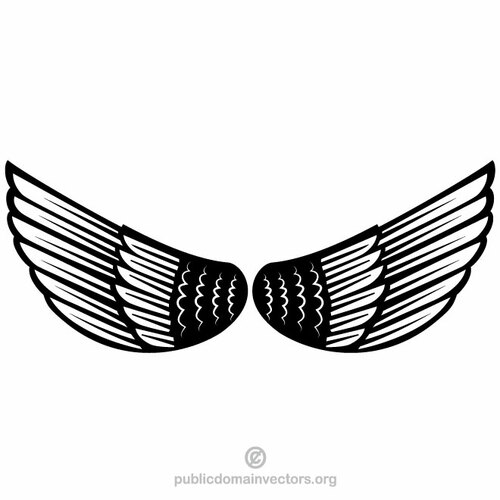 Wings feathers