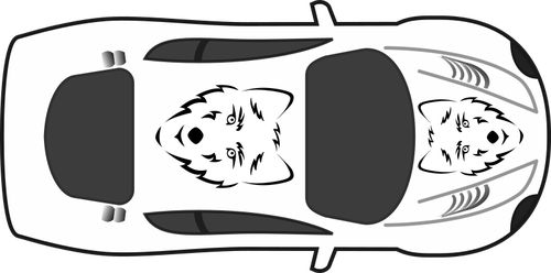 Car top view