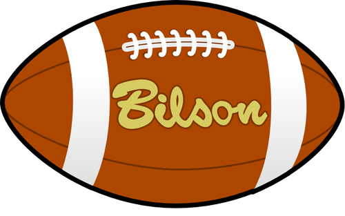 Bilson rugby ball vector image