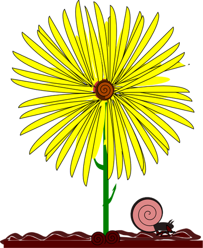 Желтый цветок и улитка