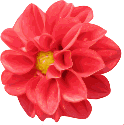 Векторный цветок георгин