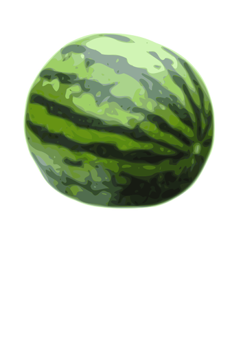 Watermelon vector illustration