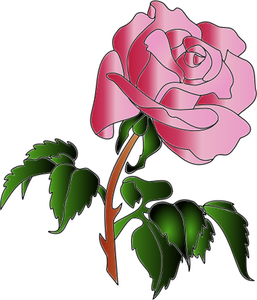 Vector image of pink rose with lots of leaves