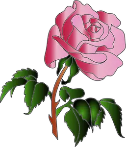 Image vectorielle de rose rose avec beaucoup de feuilles