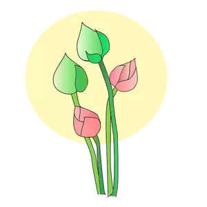 Vector flores tulipán