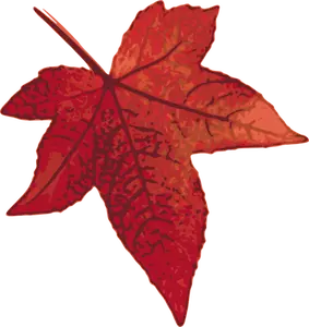 Rode esdoorn blad vector afbeelding