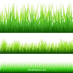 Silhueta de grama verde