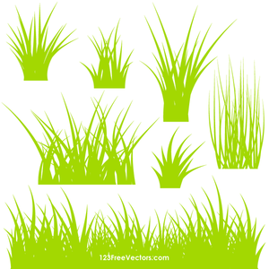 Grass Samples