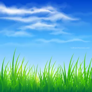 Langit biru dan rumput hijau