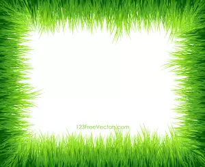Bordo del Frame di erba verde