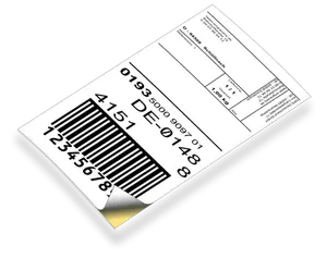 Barcode Label Vector
