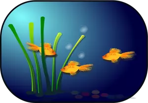 Aquarium-Vektor-Bild