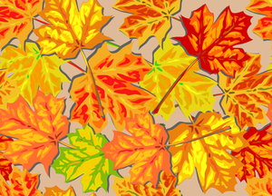 Brillante otoño hojas de gráficos vectoriales