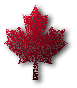 Dessin vectoriel de feuille d'érable canadienne