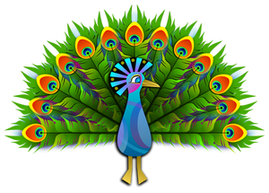 Peacock vector clip art