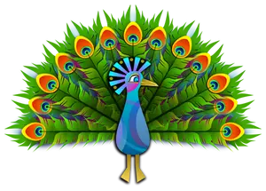 Peacock vector illustraties