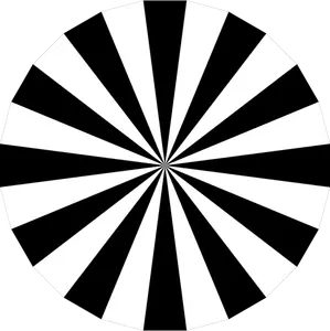 Immagine vettoriale pallette di bianco e nero