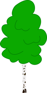 Vector graphics of young birch in color