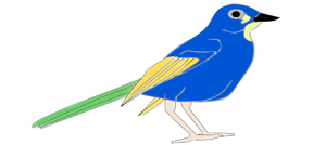 Foto van kleurrijke parrot