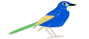 Imagine de colorat papagal
