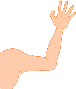 Vectorillustratie van dunne mannelijke arm