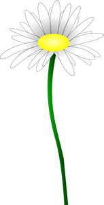 Illustration de couleur simple d'une simple Marguerite
