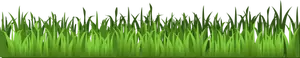 Immagine di erba verde