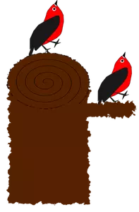 Burung pelatuk vektor gambar