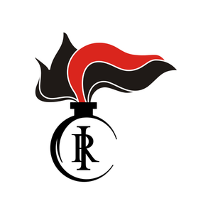 Carabinieri logo vector image