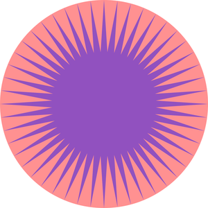 Geometrische kleur ster vector illustratie