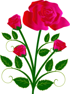 Vector graphics of four roses on one stam
