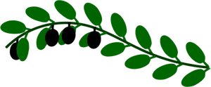 Olive branch image