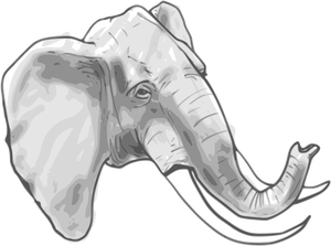 Grafica vettoriale di contorno dell'elefante