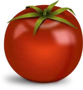 Kiiltävä tomaatti