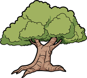 Graphiques vectoriels d'arbre large racines de chêne